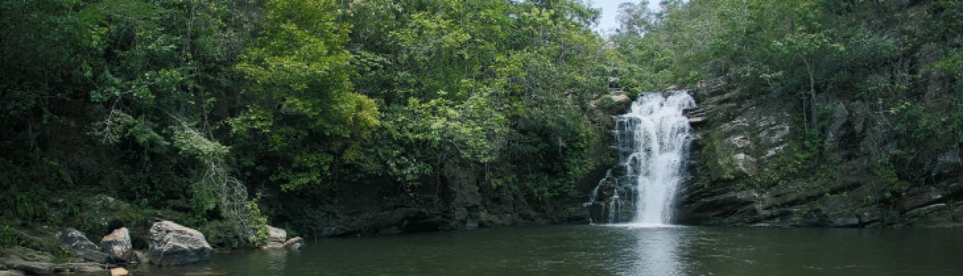 ASN Rondônia - Agência Sebrae de Notícias