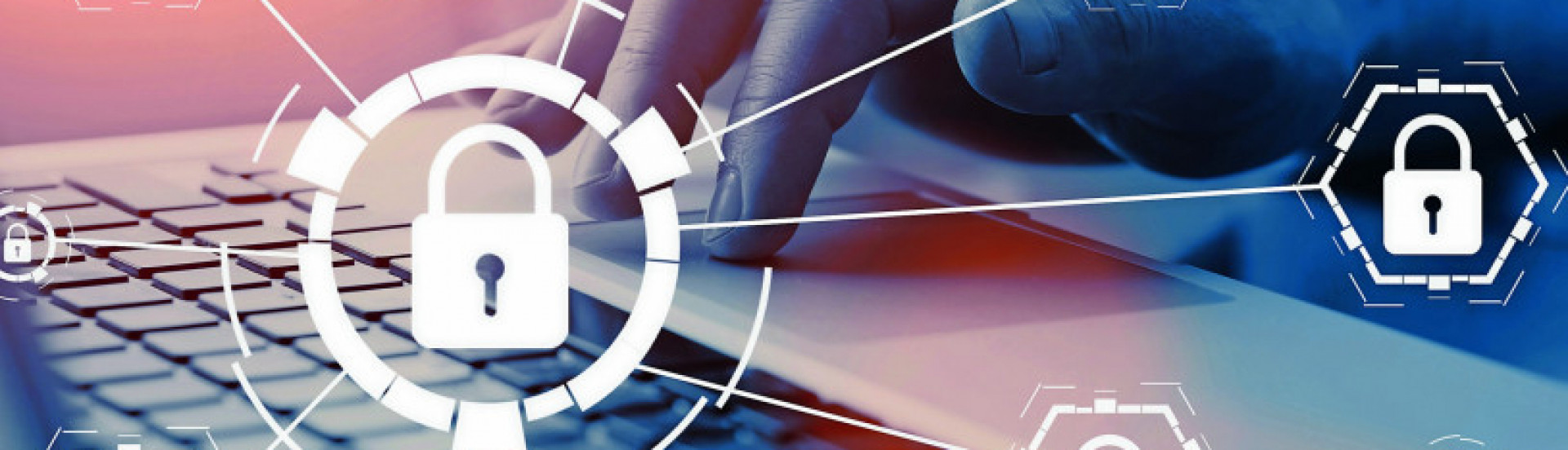 ASN Rondônia - Agência Sebrae de Notícias