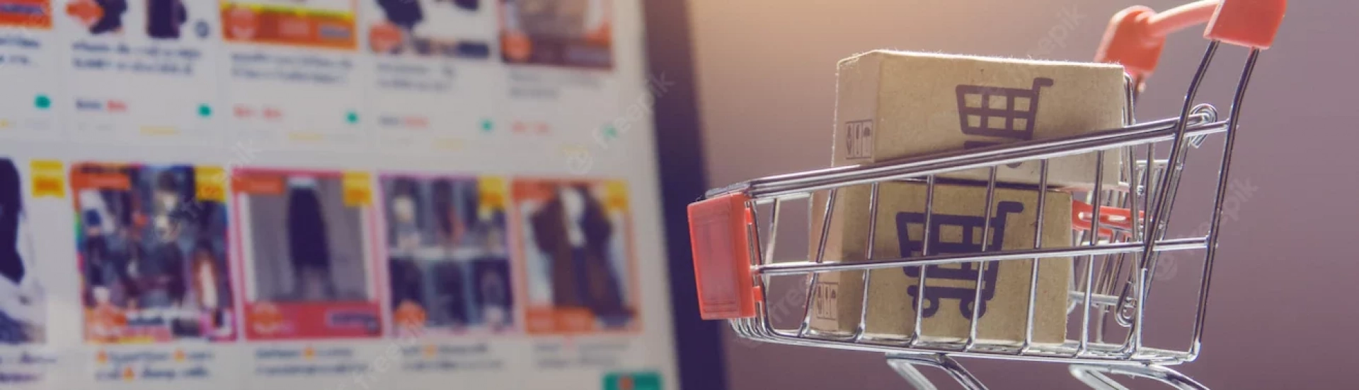 ASN Rondônia - Agência Sebrae de Notícias