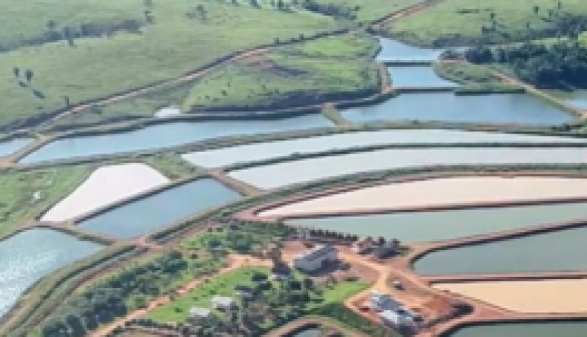 ASN Rondônia - Agência Sebrae de Notícias