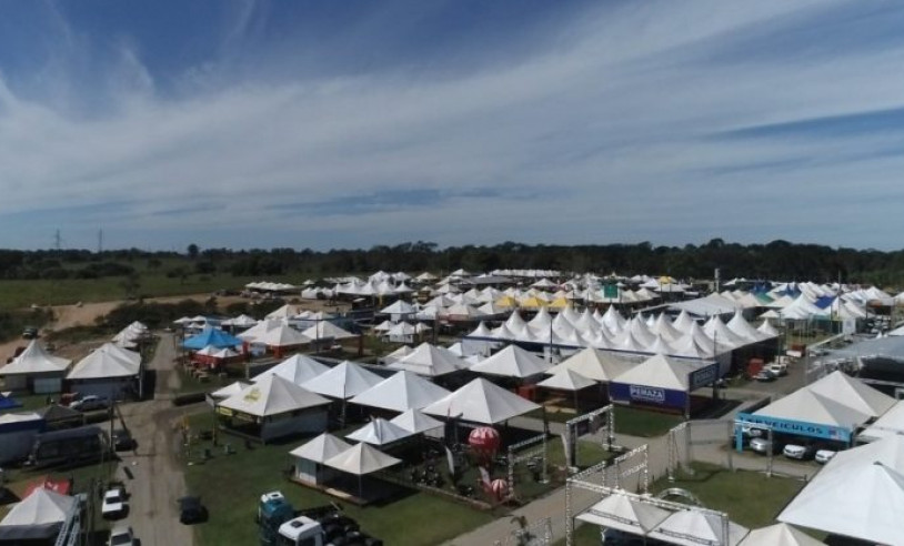 ASN Rondônia - Agência Sebrae de Notícias