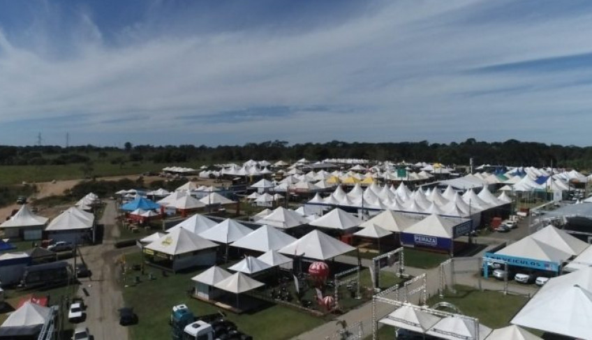 ASN Rondônia - Agência Sebrae de Notícias