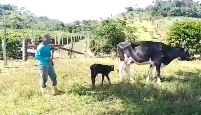 ASN Rondônia - Agência Sebrae de Notícias