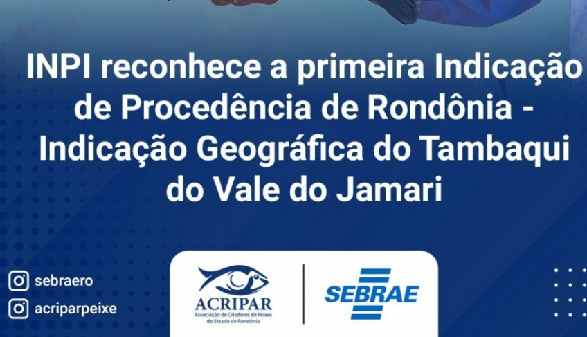 ASN Rondônia - Agência Sebrae de Notícias