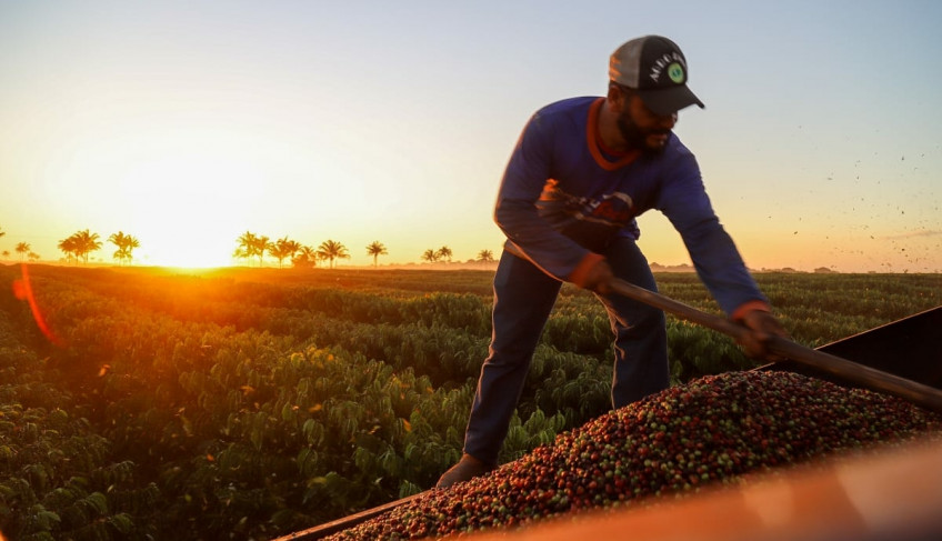 ASN Rondônia - Agência Sebrae de Notícias