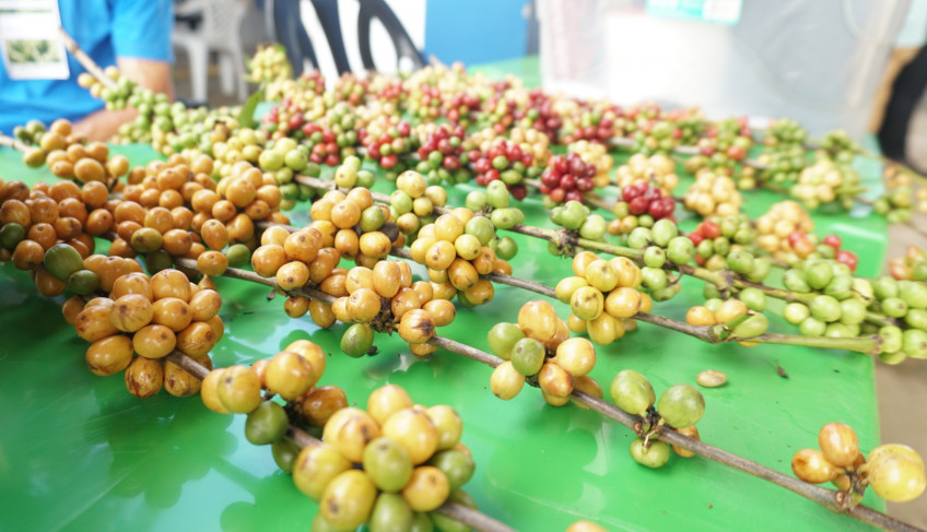 ASN Rondônia - Agência Sebrae de Notícias