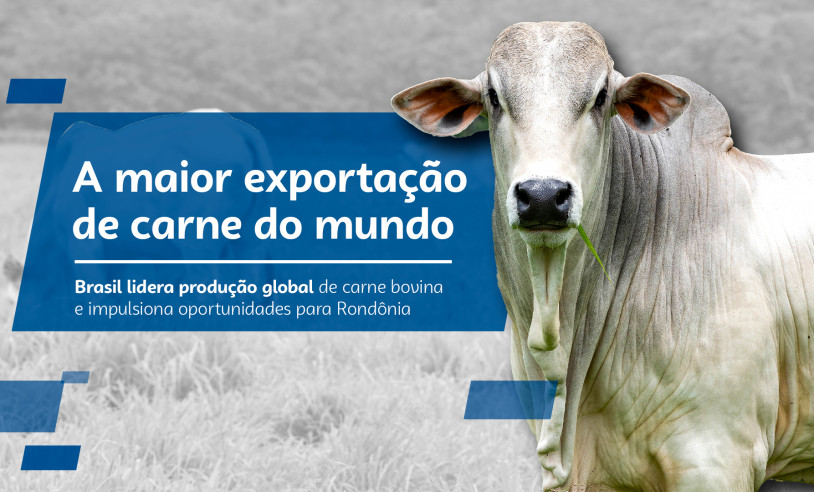 ASN Rondônia - Agência Sebrae de Notícias