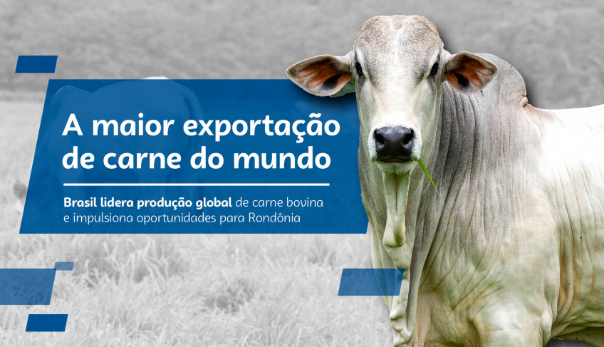 ASN Rondônia - Agência Sebrae de Notícias