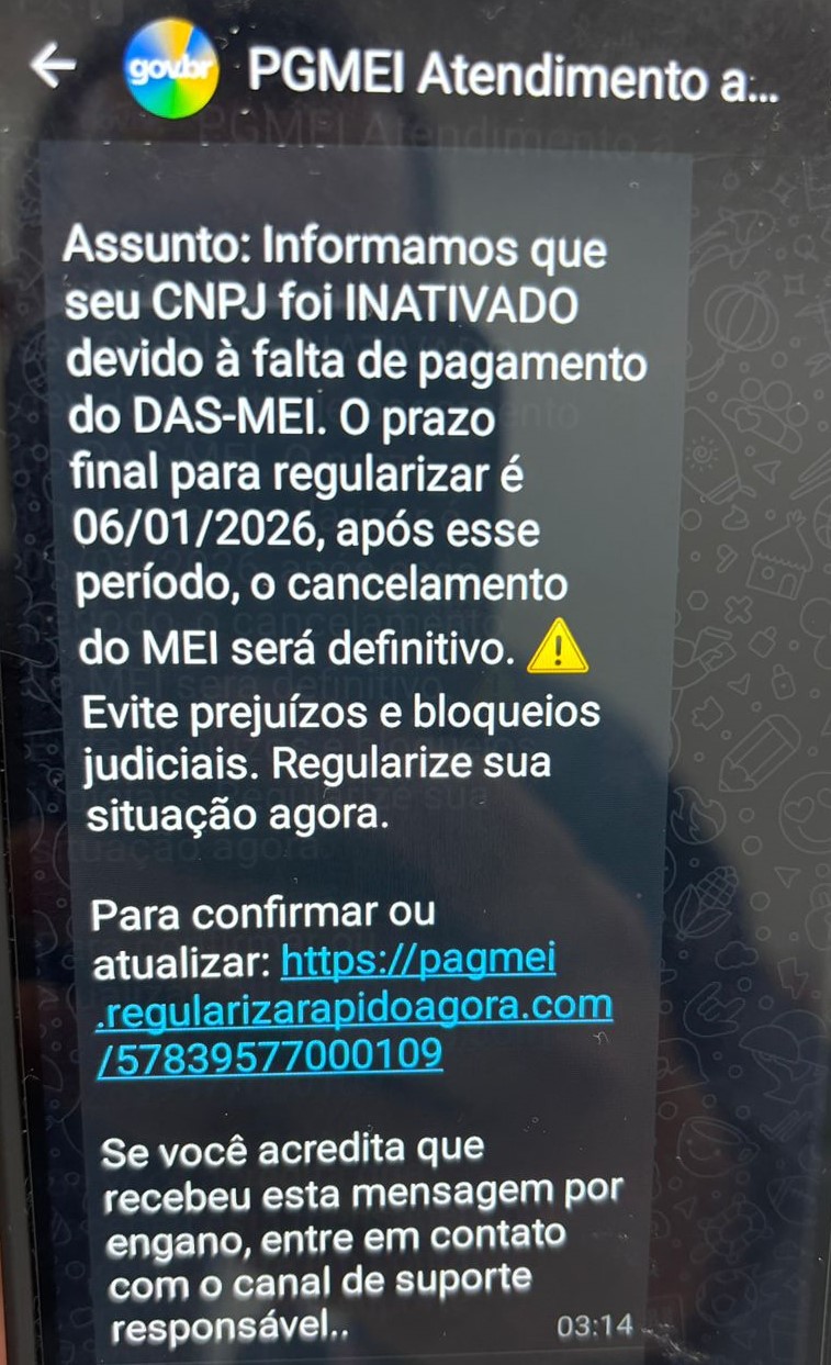 Com linguagem formal e falsa urg&ecirc;ncia, golpistas simulam comunicados oficiais para enganar empreendedores.