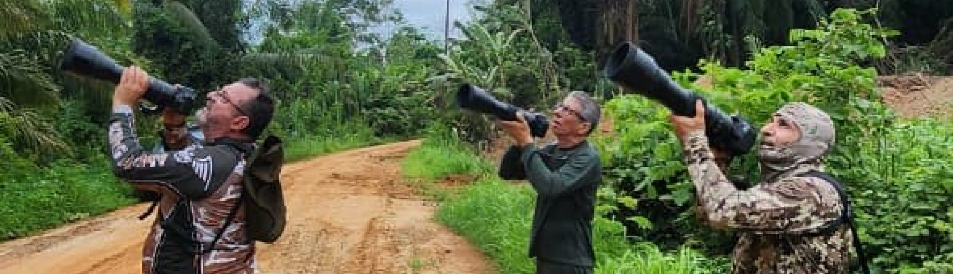 ASN Rondônia - Agência Sebrae de Notícias
