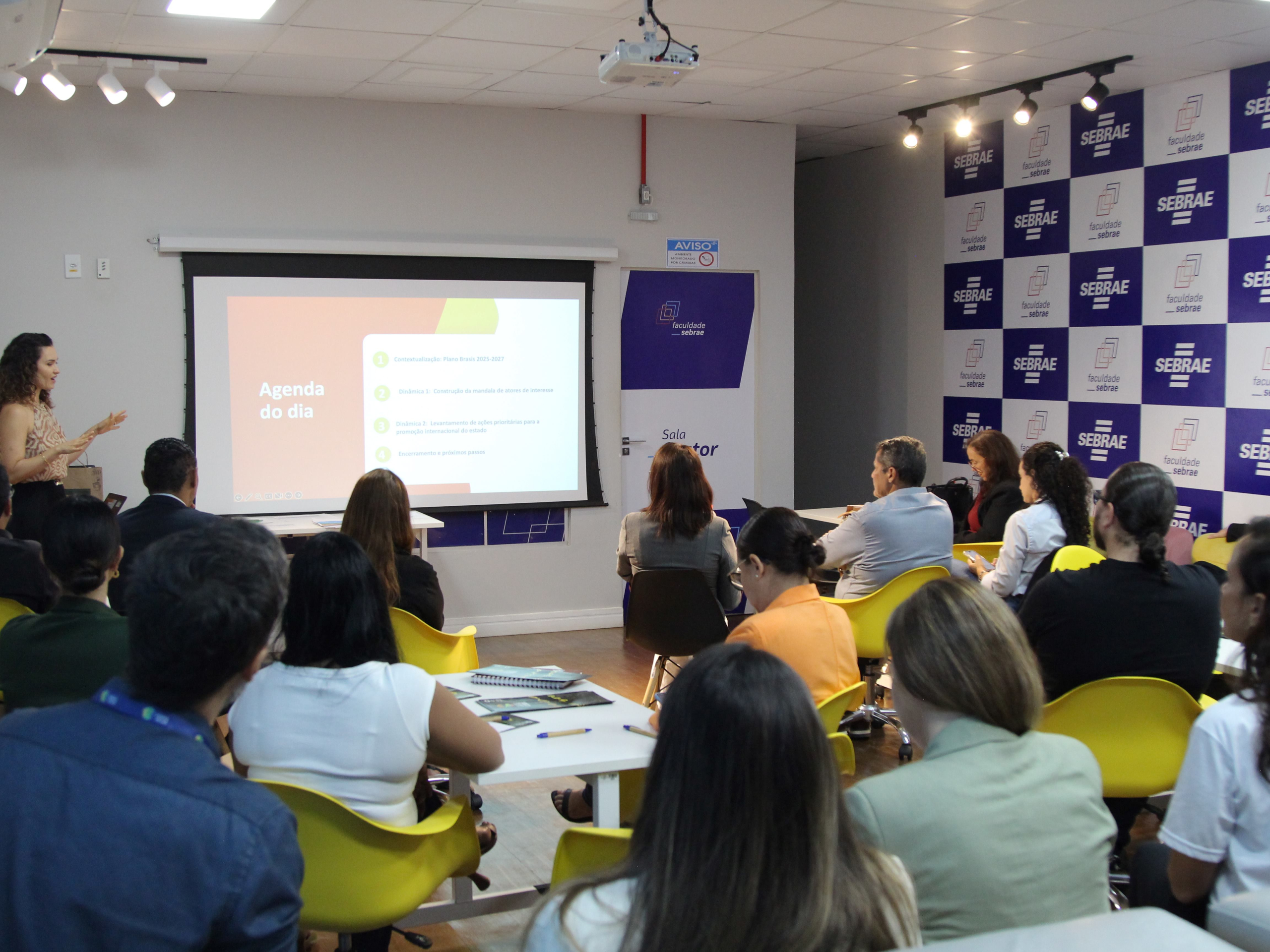 A consultora Thays Venturim conduziu a oficina de diagnóstico da implementação do Plano Brasis.