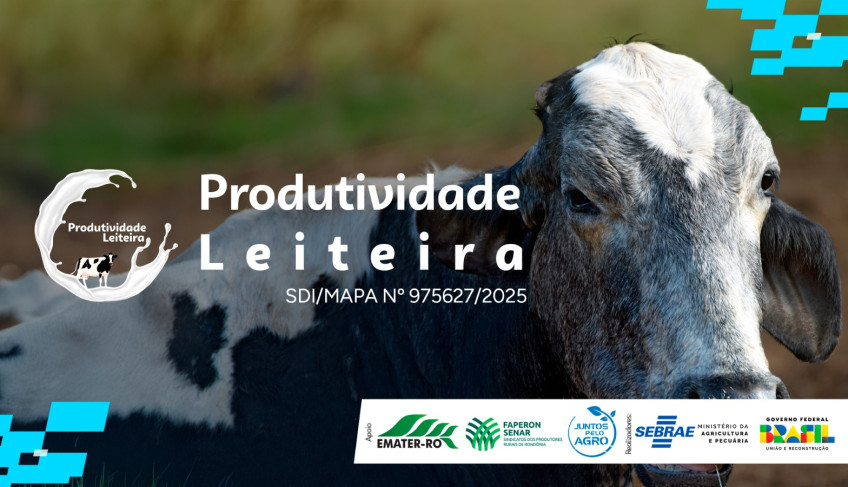 ASN Rondônia - Agência Sebrae de Notícias