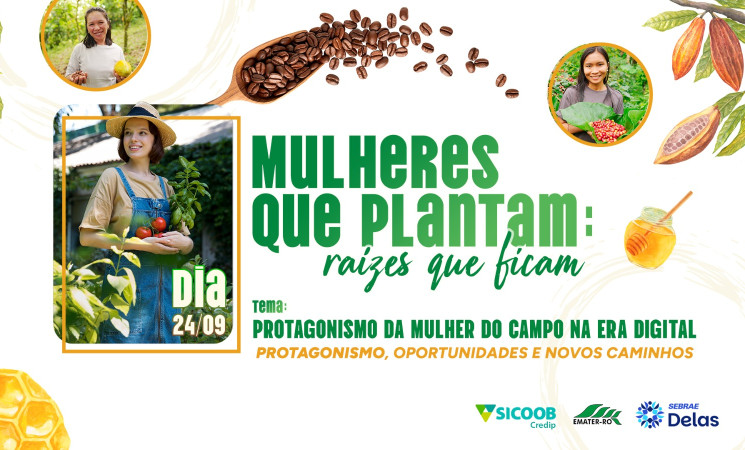 ASN Rondônia - Agência Sebrae de Notícias